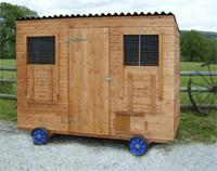 rushton pet poultry chickens